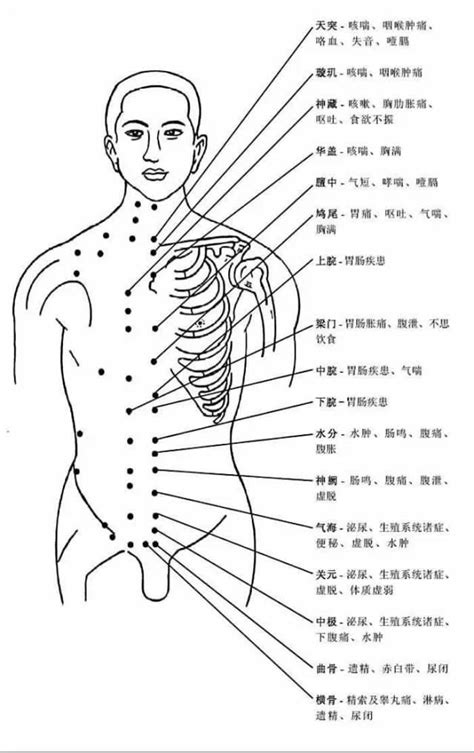 穴穴形狀|穴位